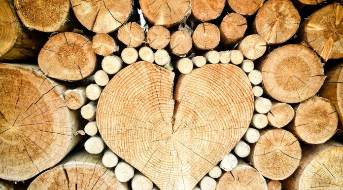 박해 속에서도 누리는 기쁨