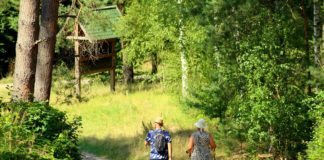 은퇴자의 3가지 무기