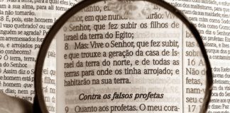 관찰을 통한 큐티의 실례