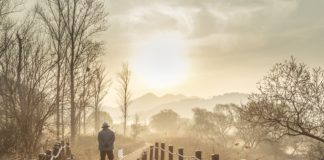 네 명의 요한 이야기