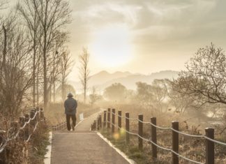 네 명의 요한 이야기
