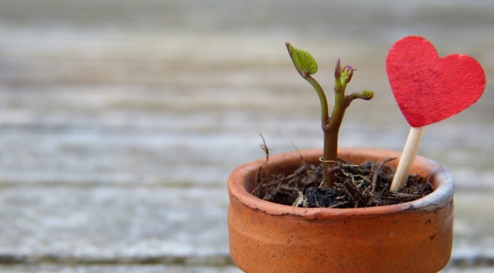 A righteousness from God -하나님의 한 의”