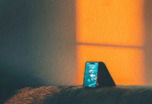 장애인 인식 개선