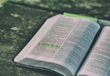 샘플 큐티에 대한 클리닉 사례