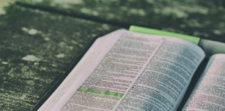 샘플 큐티에 대한 클리닉 사례