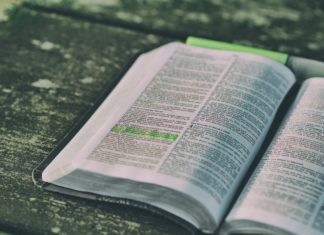 샘플 큐티에 대한 클리닉 사례