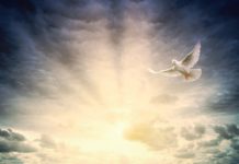 6월 첫째 주 찬송/6월 둘째 주 찬송