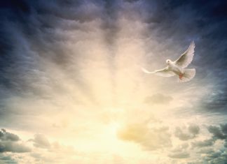 6월 첫째 주 찬송/6월 둘째 주 찬송