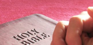 뉴질랜드 국가 중보회 수요일 정기기도회