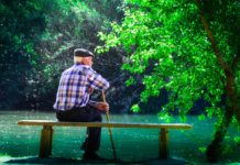 디멘시아와 방황