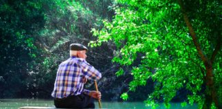 디멘시아와 방황