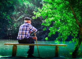 디멘시아와 방황