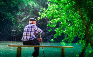 디멘시아와 방황