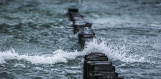 7월 셋째 주/7월 넷째 주