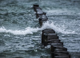 7월 셋째 주/7월 넷째 주