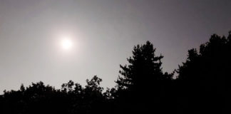 다가오는 한가위를 생각하며