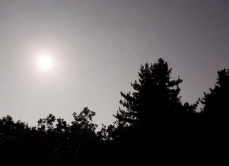 다가오는 한가위를 생각하며