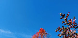 향수, 언제나 나를 품어 주는 고국을 찾으며