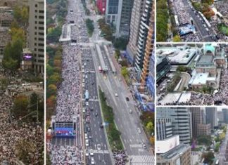 부모 1(Parent 1), 부모 2(Parent 2)