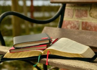 지성에서 영성으로