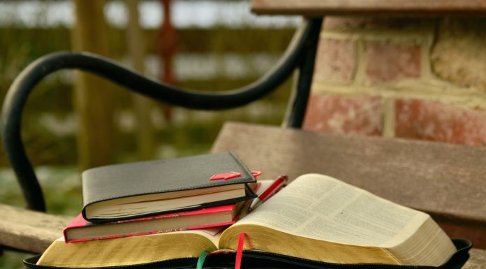 지성에서 영성으로