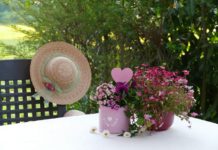 데이 프로그램의 효과