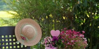 데이 프로그램의 효과