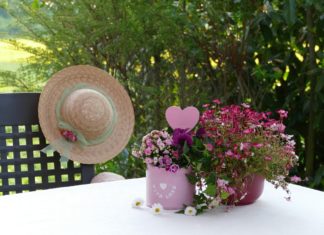 데이 프로그램의 효과