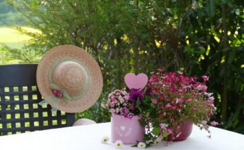 데이 프로그램의 효과