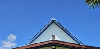 6일 간의 피지 의료선교