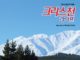 490호 크리스천