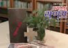 493호 라이프