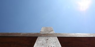 사육제와 사순절의 틈