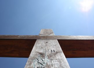 사육제와 사순절의 틈