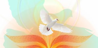 사순절에서 오순절로