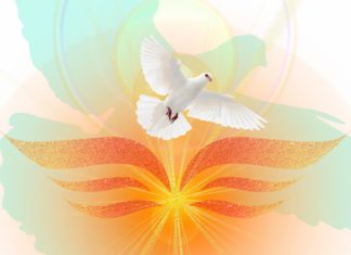 사순절에서 오순절로