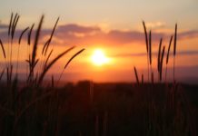 5월 둘째주 찬송/5월 넷째주 찬송