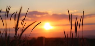 5월 둘째주 찬송/5월 넷째주 찬송