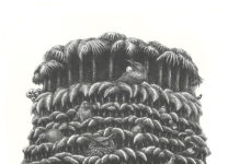 Inhabitants of Parliament