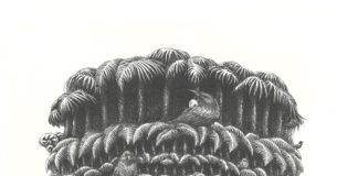 Inhabitants of Parliament