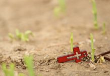 나사로 부활 표적(요 11:1-44)