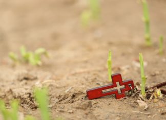 나사로 부활 표적(요 11:1-44)