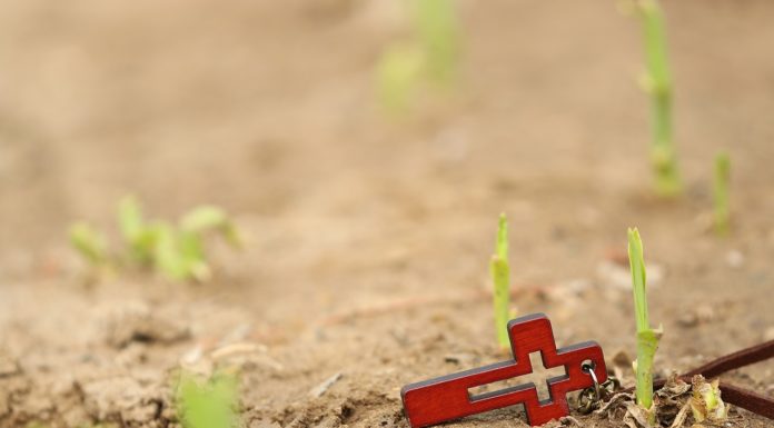 나사로 부활 표적(요 11:1-44)