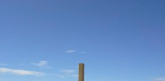 선교와 제자의 길