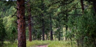 선교 여행, 먼저 밟은 이들의 길을 따라