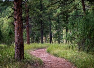 선교 여행, 먼저 밟은 이들의 길을 따라