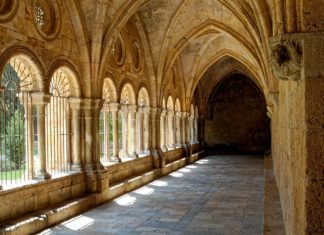 Adam, who was a pattern of the one to come ”