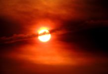 ‘에고 에이미’