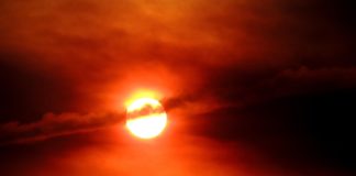 ‘에고 에이미’