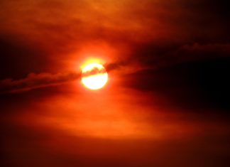 ‘에고 에이미’